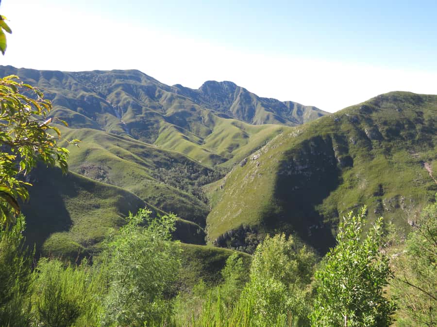 From Cape Town: 5-Day Garden Route & Addo Elephant Park Tour - Day four: Bloukrans and a safari lodge in the bush