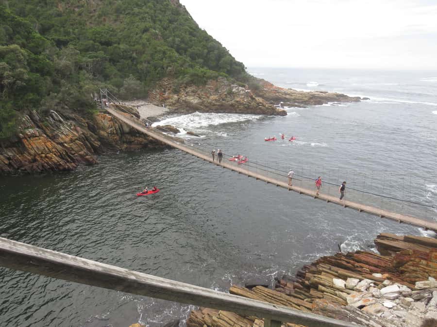 From Cape Town: 5-Day Garden Route & Addo Elephant Park Tour - Who should book this Garden Route trip?