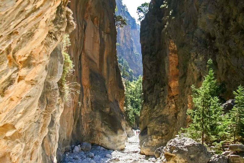 From Chania: Full-Day Samaria Gorge Trek Excursion & Guide - The gorge’s plants, animals, and rock walls