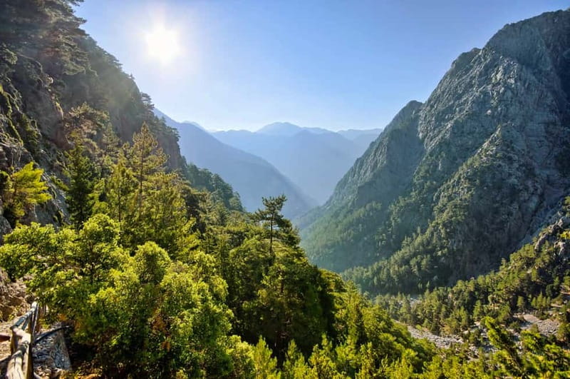 From Chania: Full-Day Samaria Gorge Trek Excursion & Guide - The ferry to Sougia and the long ride home