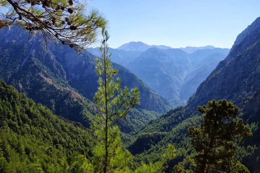From Chania/Rethymno: Samaria Gorge Easy Way - Omalos and the mountain road