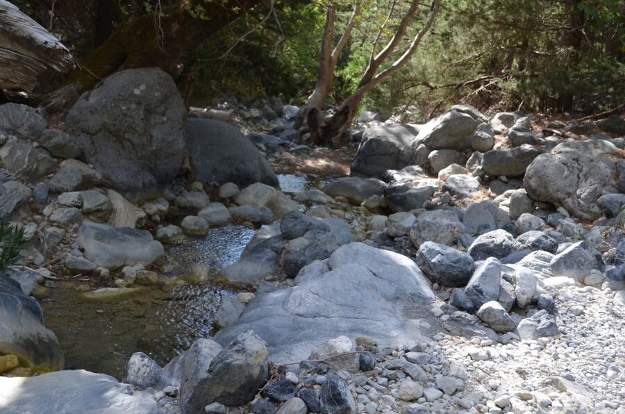 From Chania: Samaria Gorge Hike with Local Mountain Guide - Who should book this hike