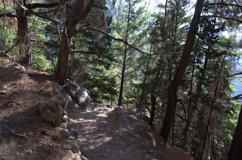 From Chania: Samaria Gorge Hike with Local Mountain Guide - Walking the gorge at your own speed