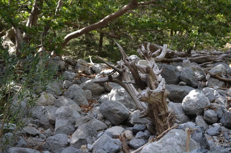 From Chania: Samaria Gorge Hike with Local Mountain Guide - Rock walls, riverbed scenery, and Kri-Kri