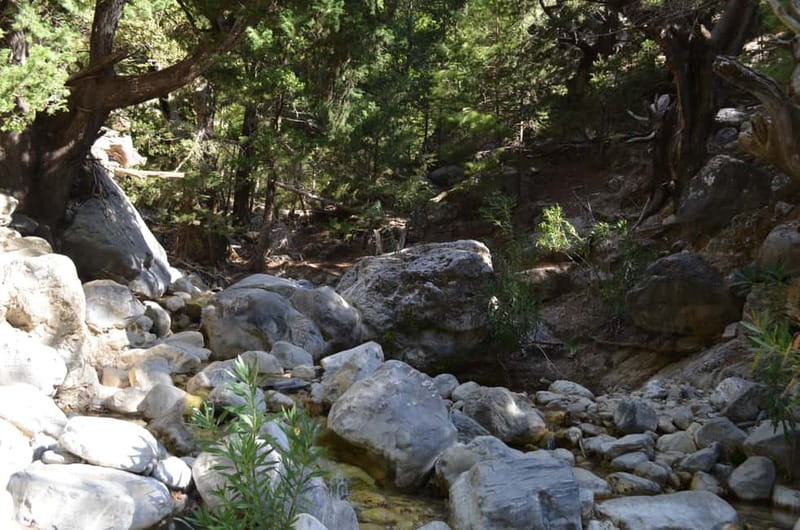 From Chania: Samaria Gorge Hike with Local Mountain Guide - Four hours in Agia Roumeli