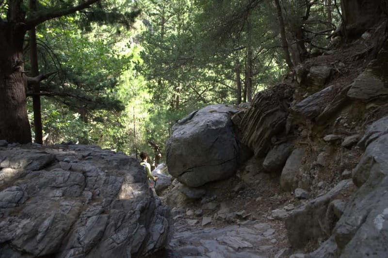 From Chania: Samaria Gorge Hike with Local Mountain Guide - What the $36 price really covers
