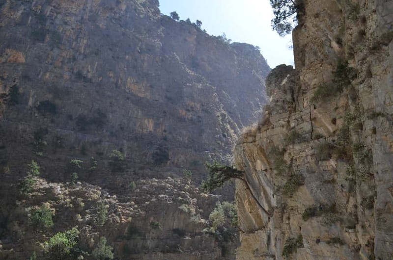 From Chania: Samaria Gorge Hike with Local Mountain Guide - The early pickup from Chania