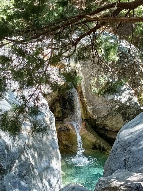 From Chania: Samaria Gorge with Professional Hiking Guide - The coastal boat and return to Chania