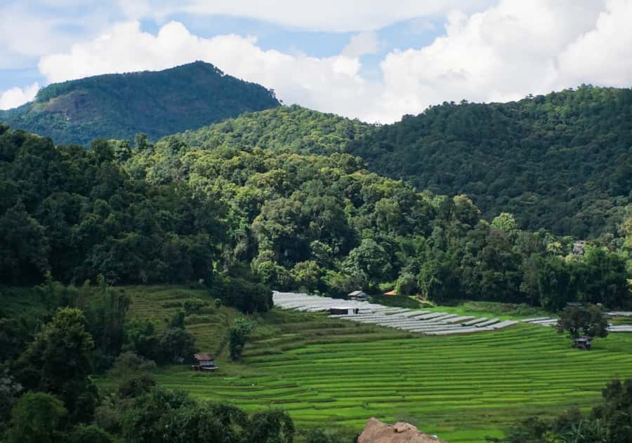 From Chiang Mai: Doi Inthanon National Park Day Trip & Hike - Angka Nature Trail and Thailand’s highest point