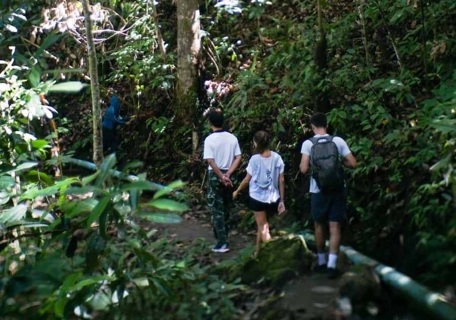 From Chiang Mai: Doi Inthanon National Park Day Trip & Hike - Twin pagodas, gardens, and mountain views