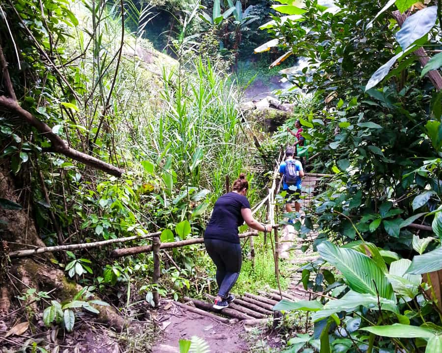 From Chiang Mai: Doi Inthanon National Park Day Trip & Hike - A short look at the Thai Hmong market