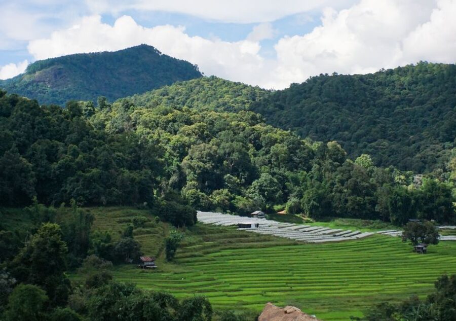 From Chiang Mai: Doi Inthanon National Park Day Trip & Hike - Mae Klang Luang and coffee with the Karen community
