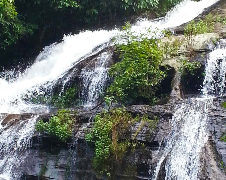 From Chiang Mai: Doi Inthanon National Park Day Trip & Hike - Guide quality and group size
