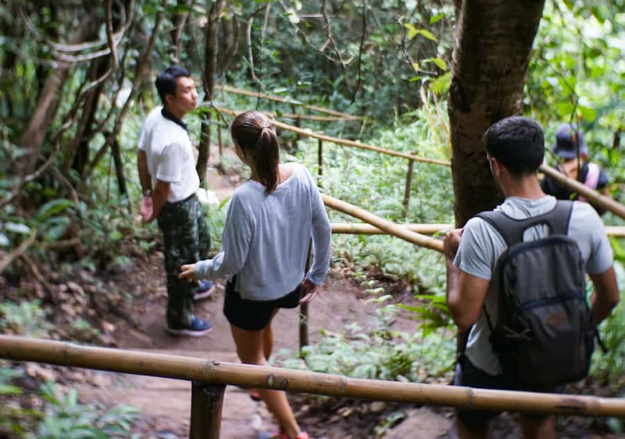 From Chiang Mai: Doi Inthanon National Park Day Trip & Hike - The two-hour ride from Chiang Mai