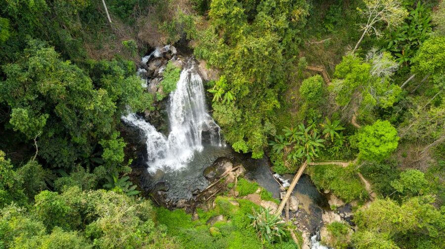 From Chiang Mai: Doi Inthanon National Park Hiking Tour - Walking the 4-kilometer Pha Dok Siow route