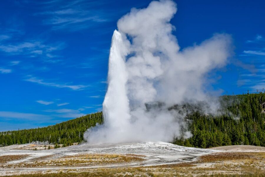 From Cody: Full-Day Yellowstone National Park Tour - Key points to know before booking