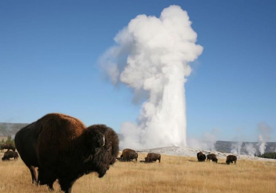 From Cody: Full-Day Yellowstone National Park Tour - Artist Point gives you Yellowstone’s grandest view