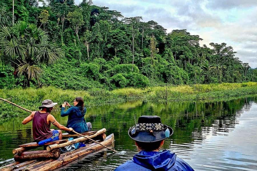 From Cusco: 4-Day Manu National Park Guided Tour - Macaw clay lick and a demanding forest hike