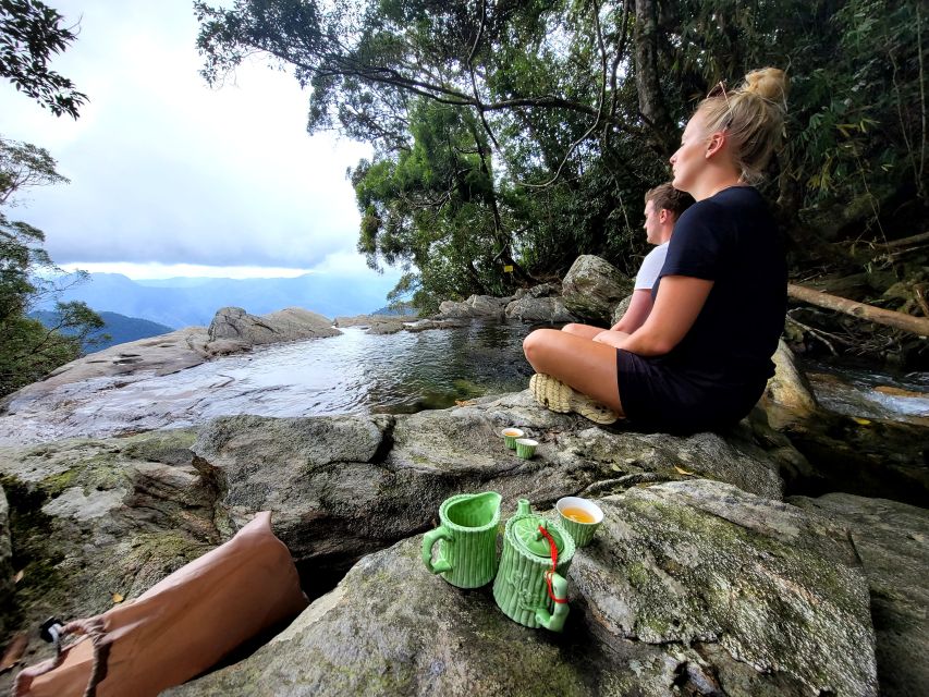 From Da Nang or Hoi An: Bach Ma National Park Trek & Lunch - Hai Vong Dai and the best views