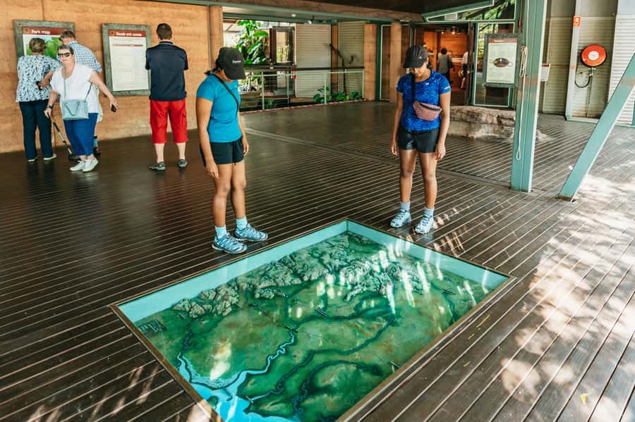 From Darwin: Kakadu Wilderness Escape & Rock Art Day Tour - The guide can shape the whole day