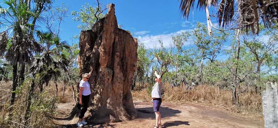 From Darwin: Litchfield National Park Small-Group Day Trip - Why this Litchfield day trip works