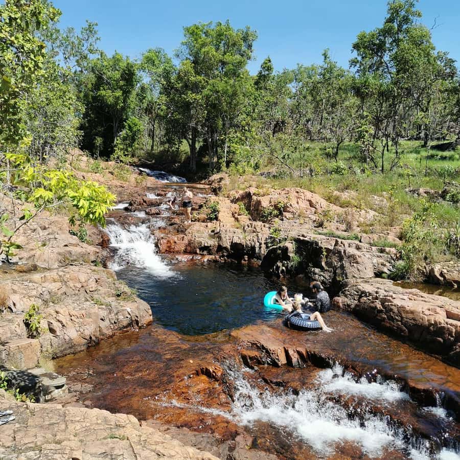 From Darwin: Litchfield National Park Small-Group Day Trip - Magnetic and Cathedral termite mounds