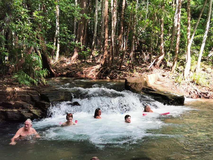 From Darwin: Litchfield National Park Small-Group Day Trip - Lunch, water, and what to pack