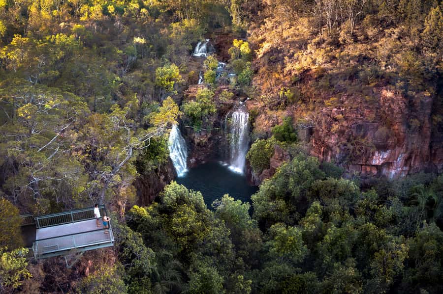From Darwin: Litchfield National Park & Waterfalls Day Trip - Fogg Dam or the jumping crocodile cruise
