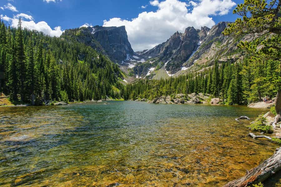 From Denver: Rocky Mountain National Park Day Trip and Lunch - The guides make the long day easier