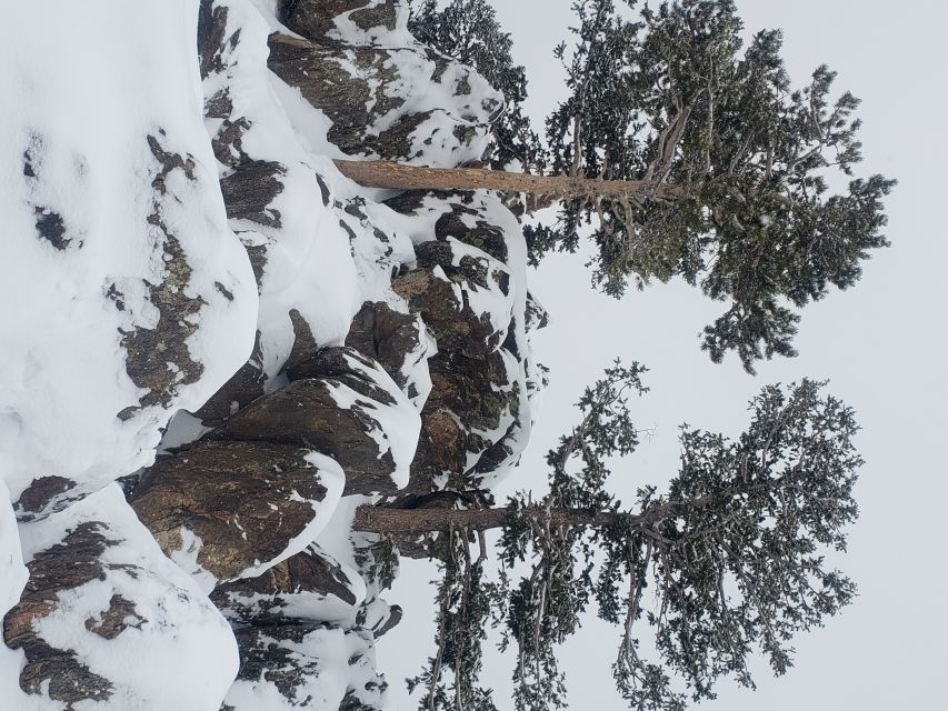 From Denver: Rocky Mountain National Park Winter/Spring Tour - Ninety minutes in Estes Park
