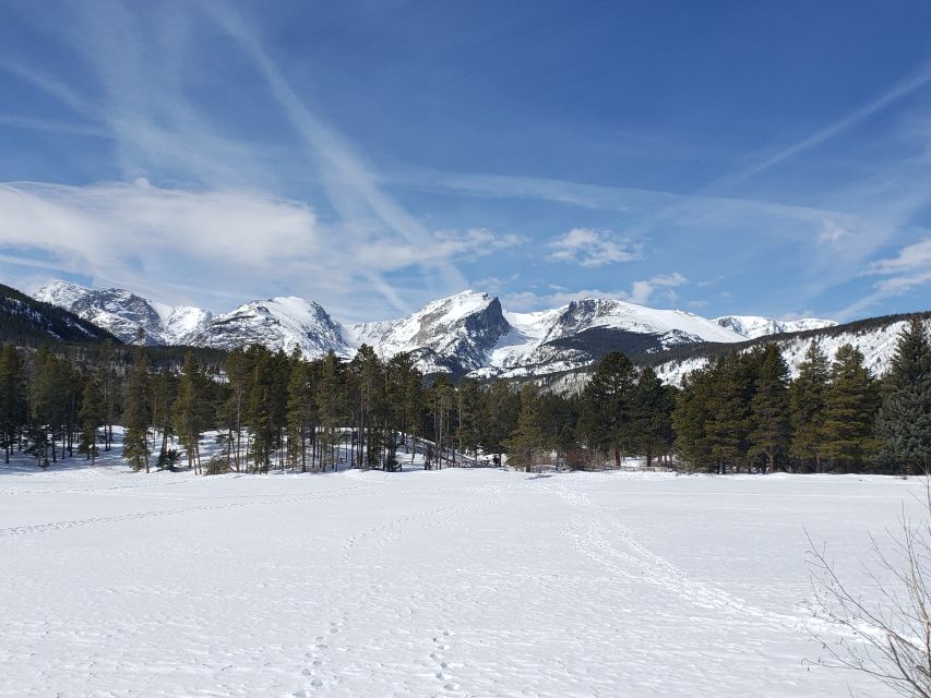 From Denver: Rocky Mountain National Park Winter/Spring Tour - The 8:15 AM start from Denver