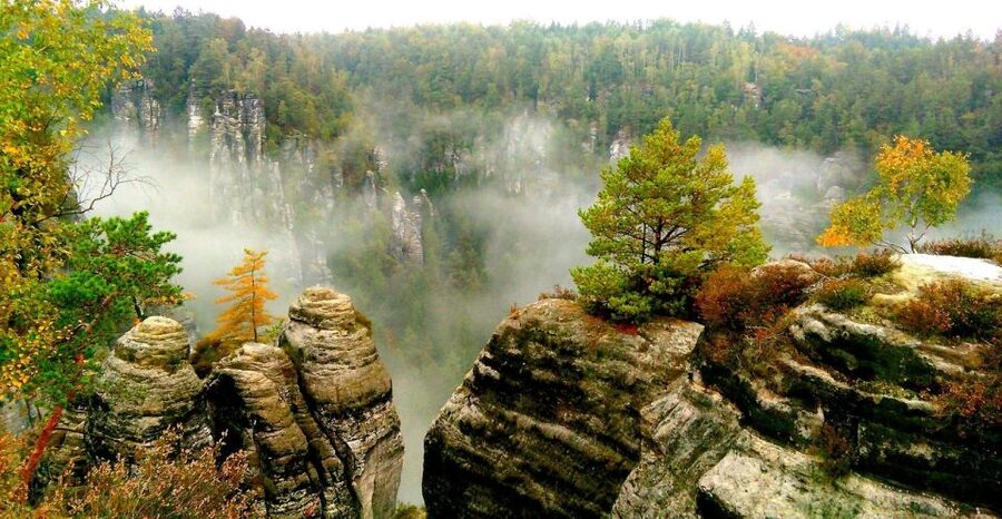 From Dresden: Bohemian & Saxon Switzerland Day Trip - Three tour versions, three different priorities