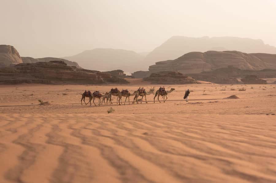 From Eilat, Jerusalem, Tel Aviv: Petra & Wadi Rum 3-Day Tour - Why this Jordan itinerary works