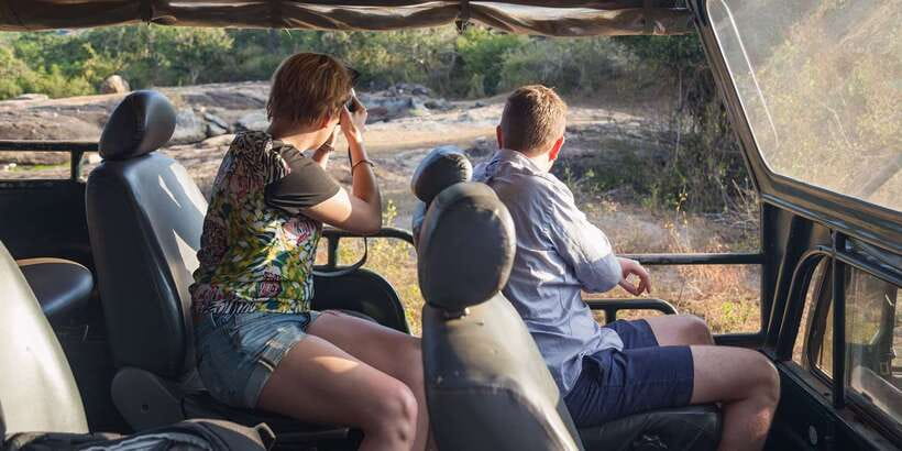 From Ella: Yala National Park Jeep Safari Tour - Elephants, Leopards, and Other Wildlife