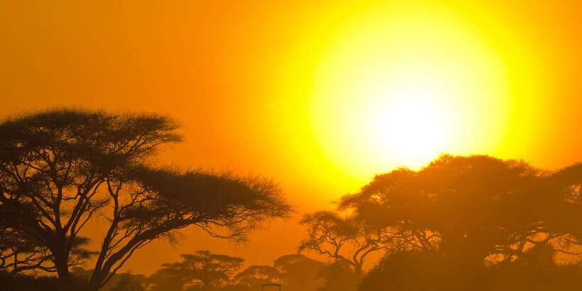 From Ella: Yala National Park Safari Tour in a 4x4 - Key points to know before you book