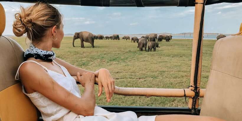 From Ella: Yala National Park Safari Tour in a 4x4 - Ella to Yala: a long morning with a clear purpose