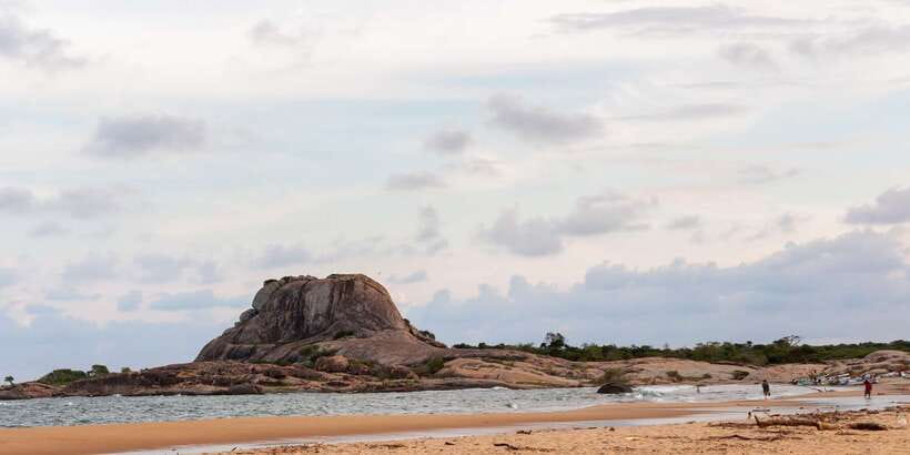 From Ella: Yala National Park Safari Tour in a 4x4 - What you might see among Yala’s forests and lagoons