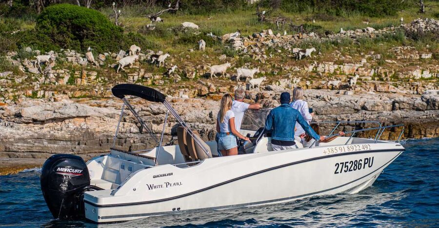 From Fažana: Private boat tour of Brijuni Islands - Fažana to the Brijuni panorama