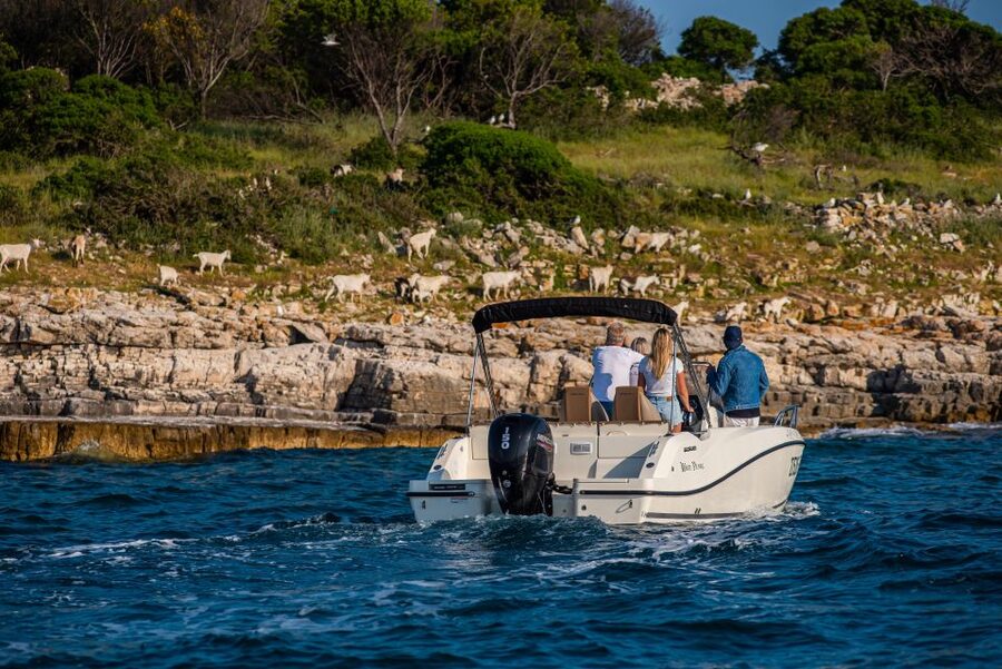 From Fažana: Private boat tour of Brijuni Islands - Who will enjoy this outing most