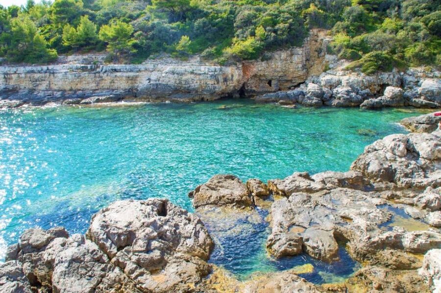 From Fažana: snorkeling at sea cave and Brijuni Island - What the private format adds