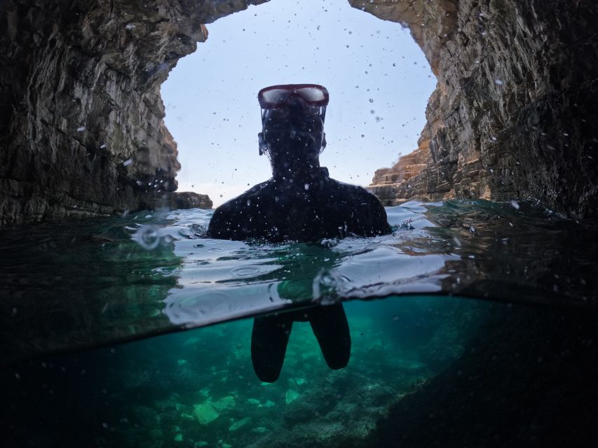 From Fažana: snorkeling at sea cave and Brijuni Island - Who will enjoy this trip most