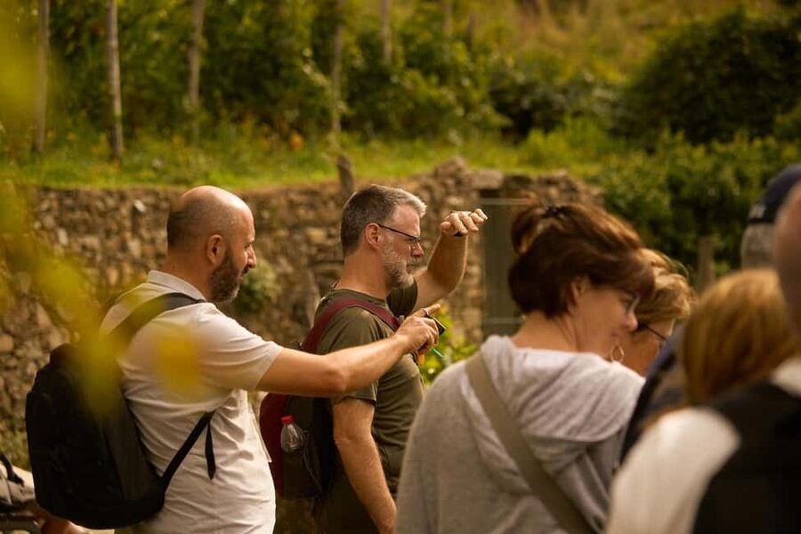 From Florence: Cinque Terre Day Trip with stop in Pisa - Key points at a glance