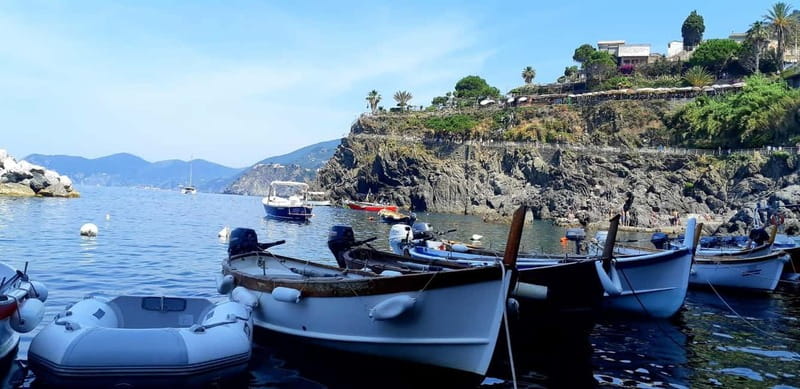 From Florence: Small-group to Cinque Terre and Pisa Day Tour - What the small group changes