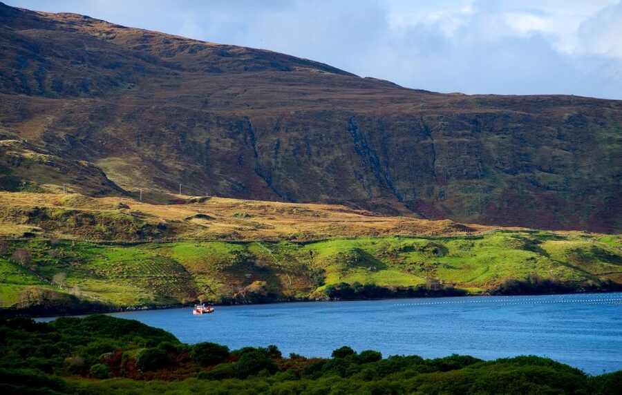From Galway: Connemara National Park Full Day Tour - Two hours at Connemara National Park