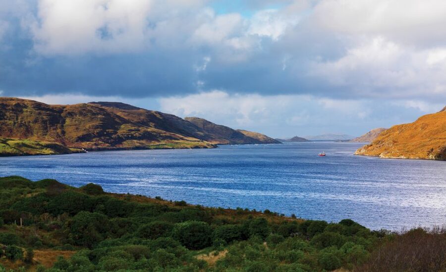 From Galway: Connemara National Park Full Day Tour - The guide makes the long day better