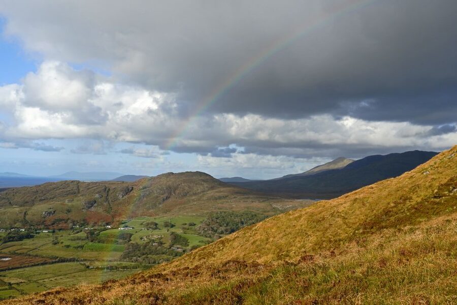 From Galway: Connemara National Park Full Day Tour - Is the tour good value?