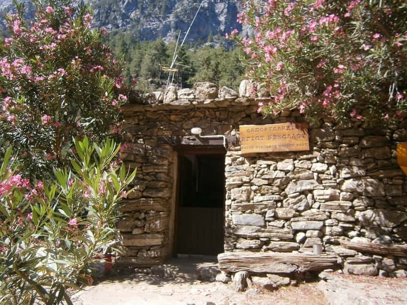 From Georgioupolis: Roundtrip Transfer to Samaria Gorge - The Iron Gates and Samaria’s plant and animal life