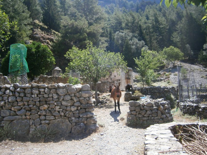 From Georgioupolis: Roundtrip Transfer to Samaria Gorge - Packing for a safer, better day