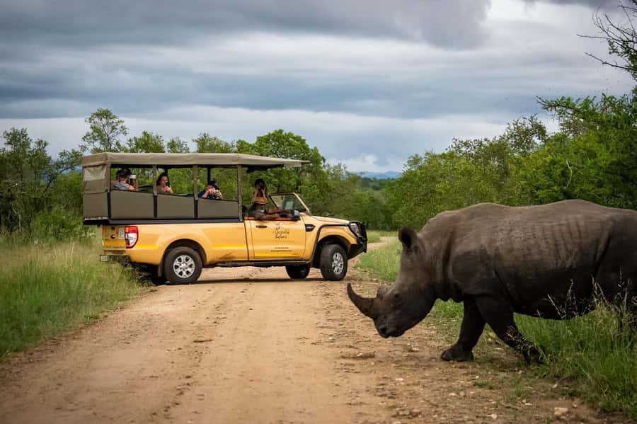 From Hazyview: Kruger National Park Full-Day Safari - Breakfast at your own cost