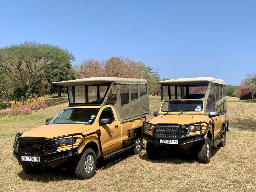From Hazyview: Kruger National Park Full-Day Safari - Why the first game drive matters